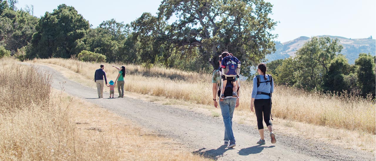 5 Best Trails for Easy Hikes in the San Francisco Bay Area - POST