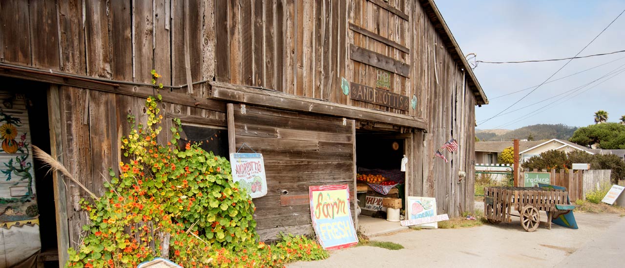 Continuity For Andreotti Family Farm Protected By POST And California continuity-for-andreotti-family-farm-protected-by-post-and-california